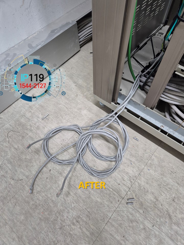 여의도 사옥 단자함 인터넷점검 후 랜선 교체 작업